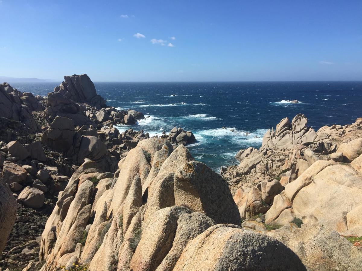 Вілла Carrabean Sea In The North Of Sardegna, With Swimming Pool Viddalba Екстер'єр фото