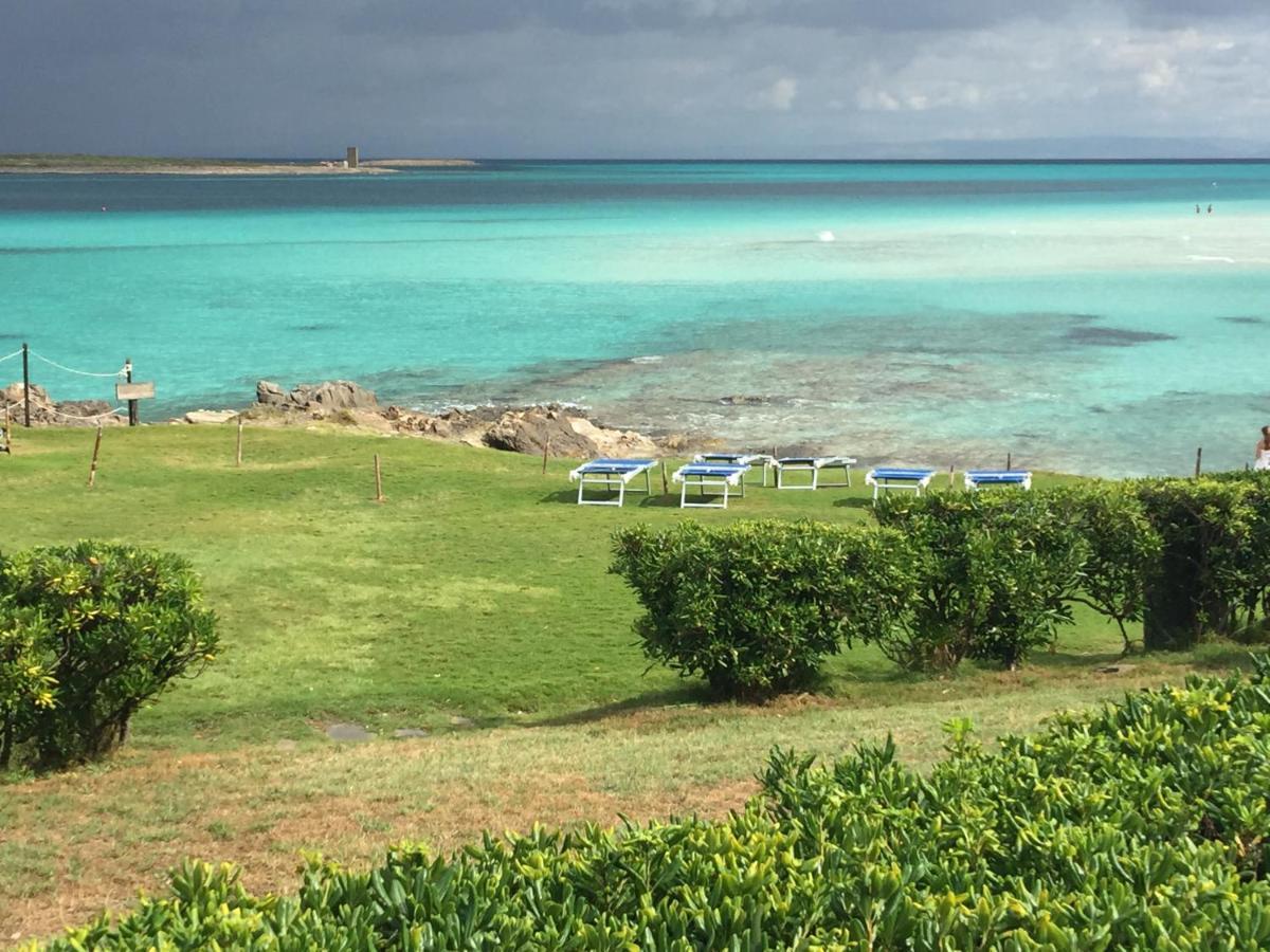Вілла Carrabean Sea In The North Of Sardegna, With Swimming Pool Viddalba Екстер'єр фото