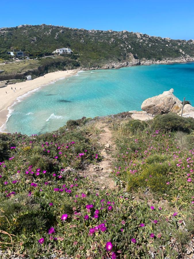Вілла Carrabean Sea In The North Of Sardegna, With Swimming Pool Viddalba Екстер'єр фото