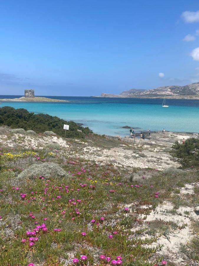 Вілла Carrabean Sea In The North Of Sardegna, With Swimming Pool Viddalba Екстер'єр фото